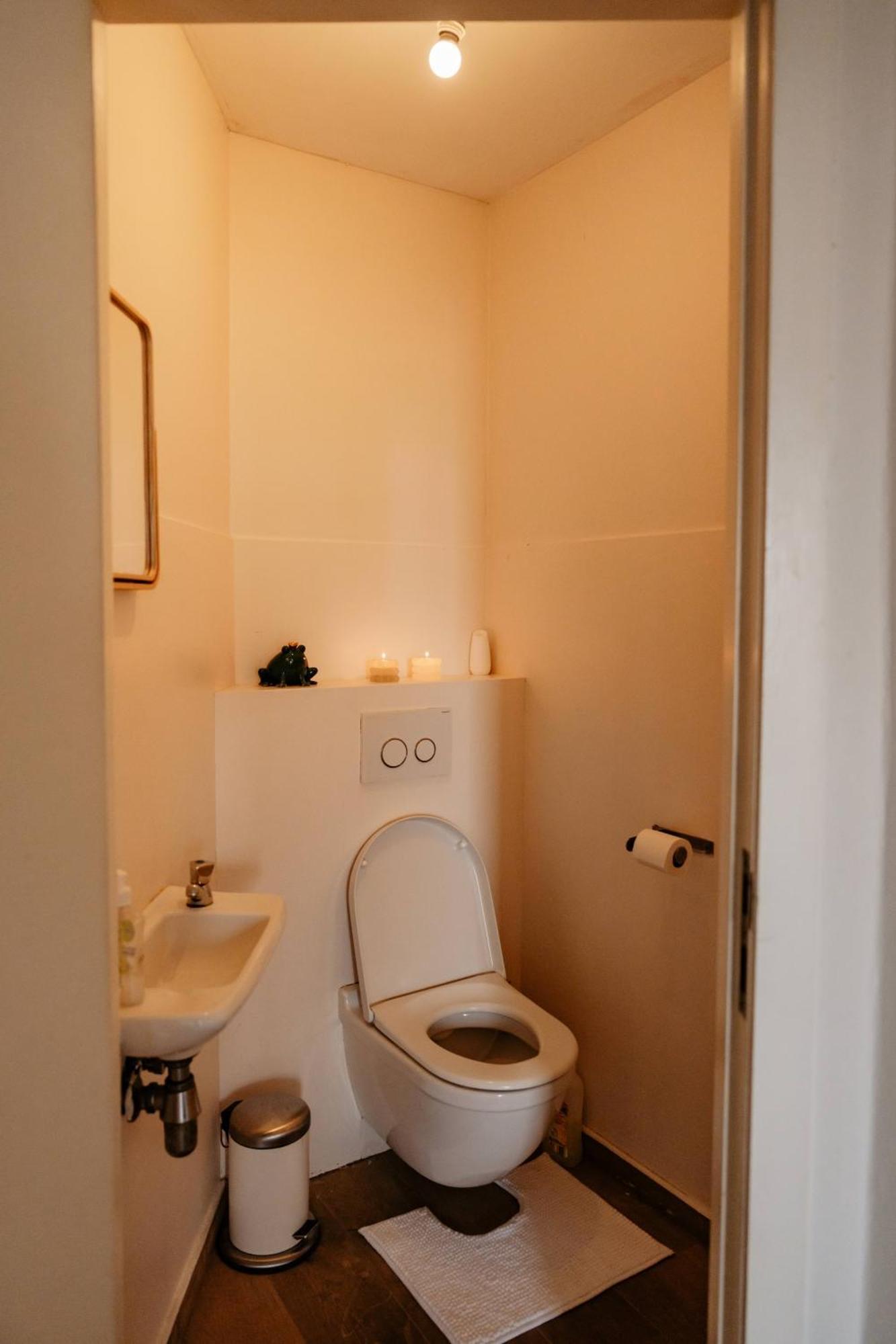 Zonnig Appartement Met Prachtig Uitzicht Op A+Locatie アントウェルペン エクステリア 写真